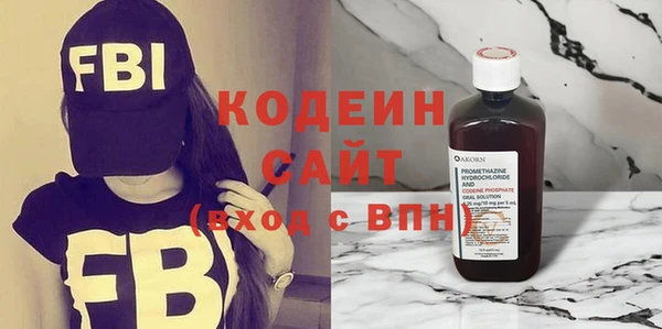 шишки Михайловск