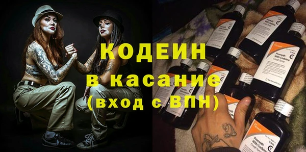шишки Михайловск