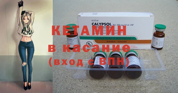 шишки Михайловск