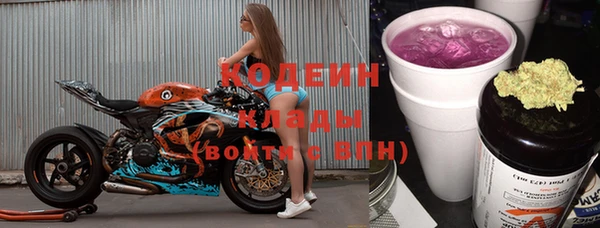 шишки Михайловск