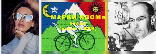 шишки Михайловск