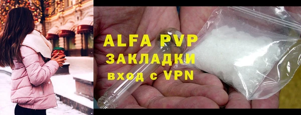 шишки Михайловск