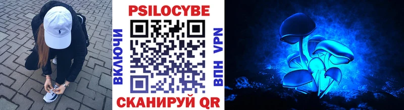 площадка как зайти где можно купить Таруса Галлюциногенные грибы Psilocybe
